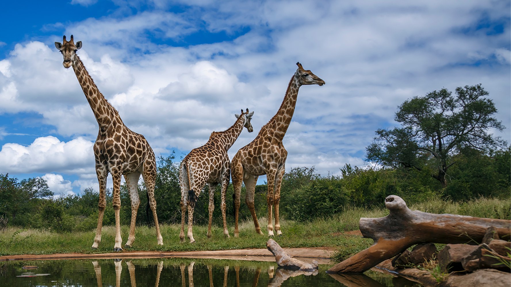 South Africa