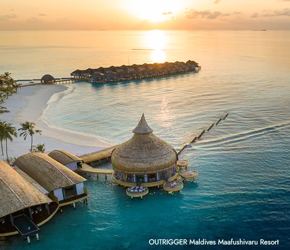 Save up to 50% for this week only!