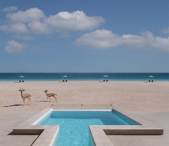 Anantara-Sir-Bani-Yas-Island-Al-Yamm-Villa-Resort.jpg