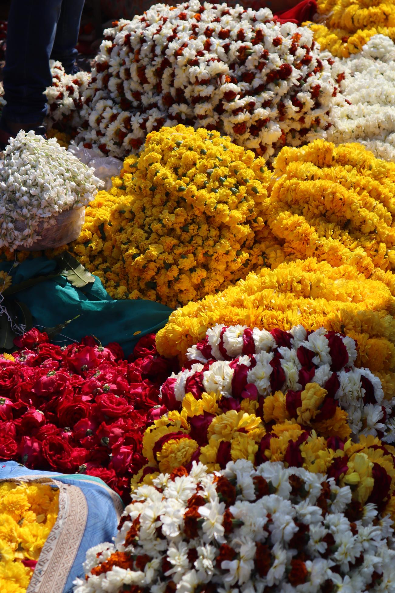 Flower Tour.JPG