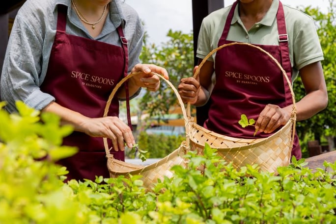 Farm to Table Cooking Class.jpg