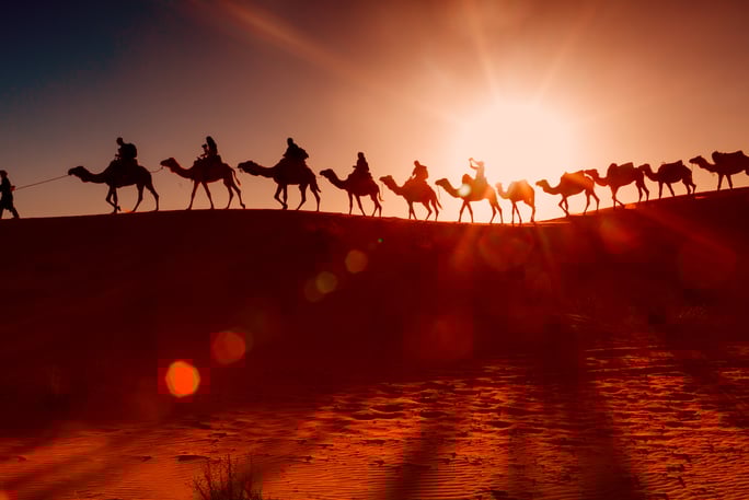 009286ce2200-Traditional-Desert-Camel-Ride.jpg